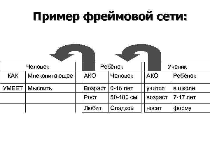   Пример фреймовой сети:  Человек    Ребёнок   Ученик