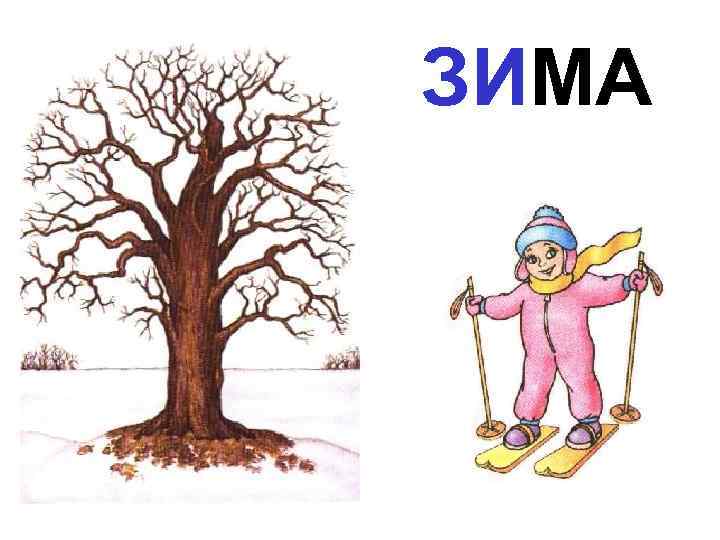 ЗИМА 