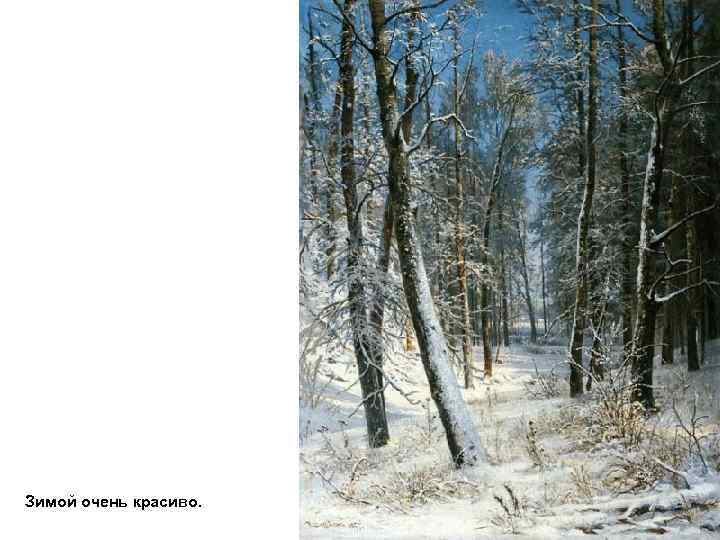 Зимой очень красиво. 