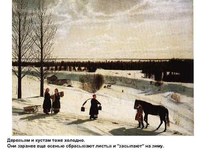 Деревьям и кустам тоже холодно. Они заранее еще осенью сбрасывают листья и 