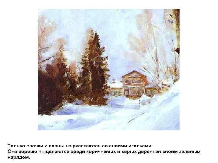 Только елочки и сосны не расстаются со своими иголками. Они хорошо выделяются среди коричневых