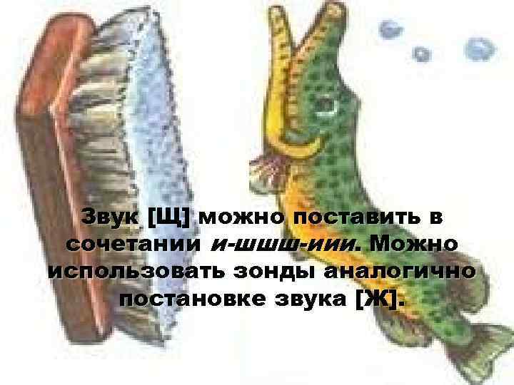  Звук [Щ] можно поставить в сочетании и-шшш-иии. Можно использовать зонды аналогично постановке звука