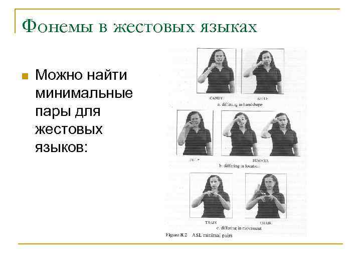 Фонемы в жестовых языках n  Можно найти минимальные пары для жестовых языков: 