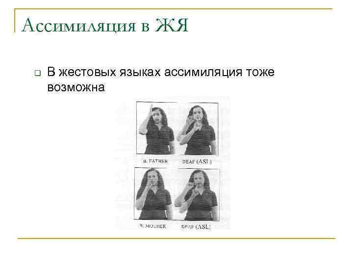 Ассимиляция в ЖЯ  q  В жестовых языках ассимиляция тоже  возможна 