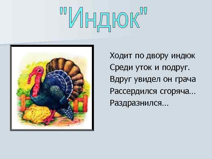 Ходит по двору индюк Среди уток и подруг. Вдруг увидел он грача Рассердился сгоряча…