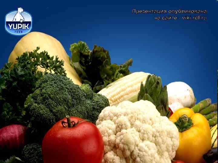 Презентация опубликована   на сайте - viki. rdf. ru 