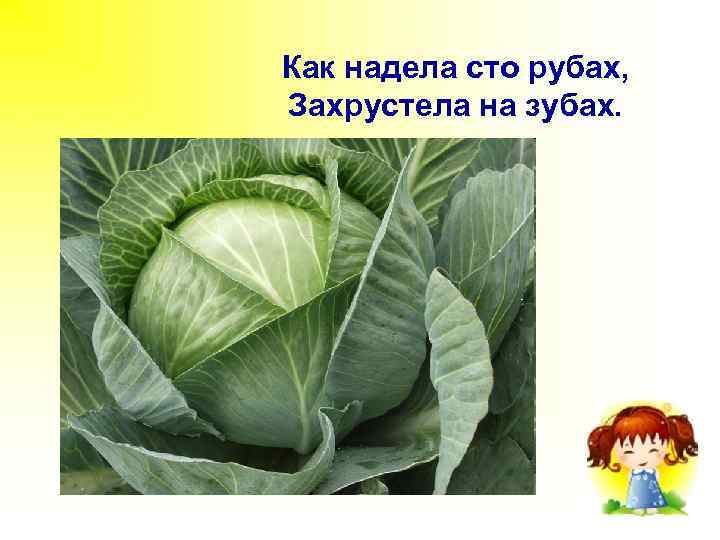 Как надела сто рубах, Захрустела на зубах. 