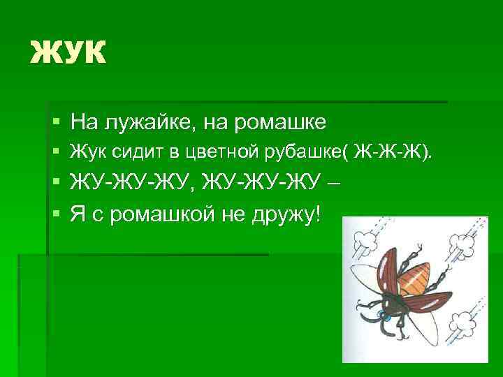 ЖУК § На лужайке, на ромашке § Жук сидит в цветной рубашке( Ж-Ж-Ж). §