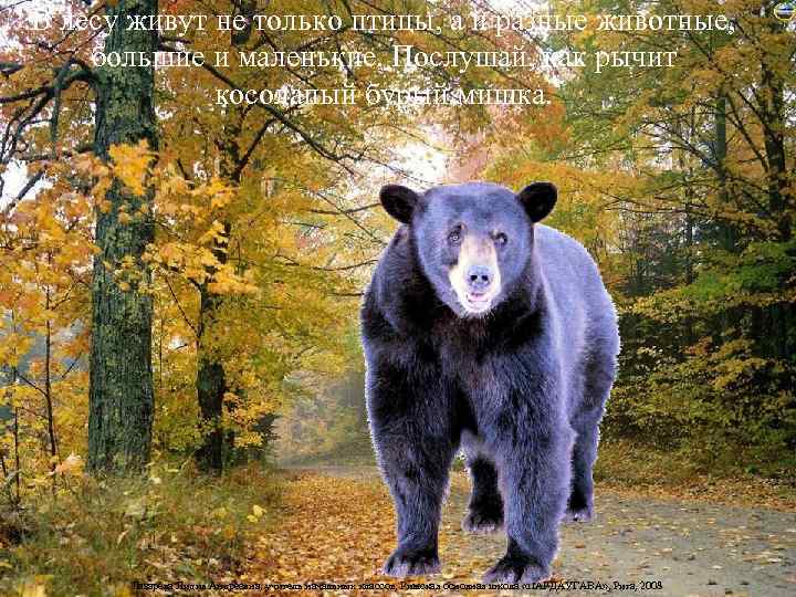 В лесу живут не только птицы, а и разные животные, большие и маленькие. Послушай,