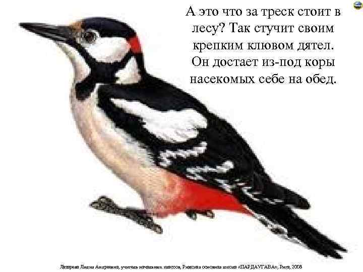      А это что за треск стоит в  