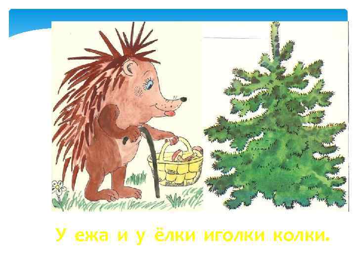 У ежа и у ёлки иголки колки. 