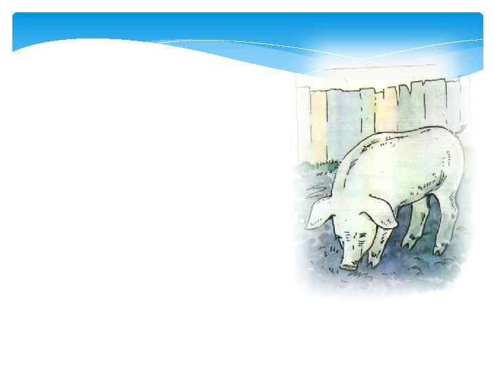 Свинья тупорыла, Носом рыла, Весь двор перерыла. 