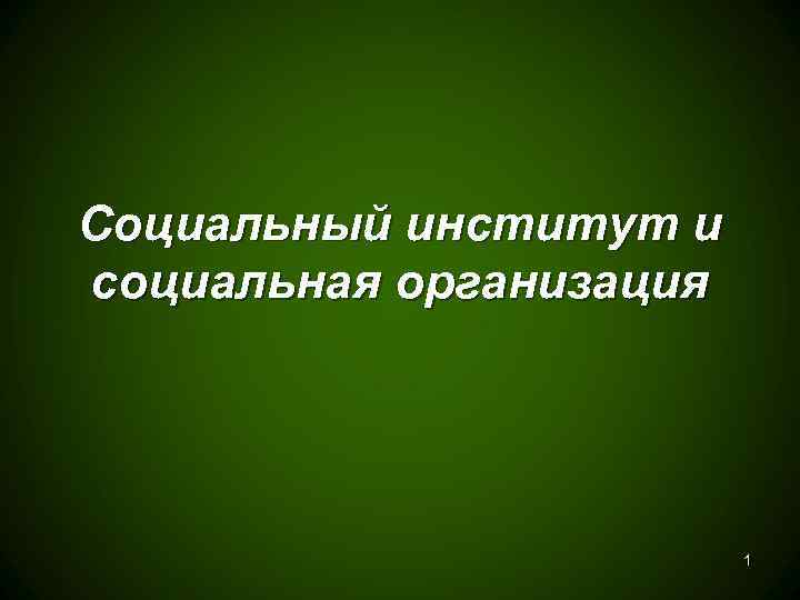 Социальный институт и социальная организация     1 