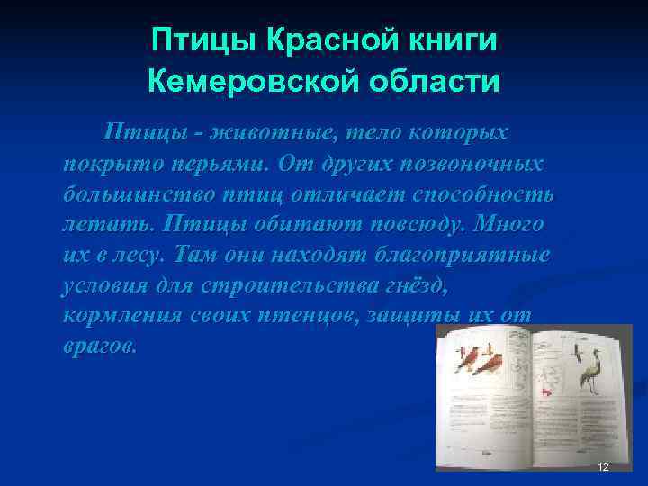  Птицы Красной книги  Кемеровской области Птицы - животные, тело которых покрыто перьями.