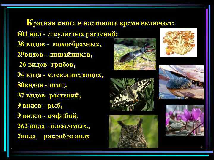  Красная книга в настоящее время включает: 601 вид - сосудистых растений; 38 видов