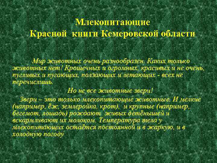    Млекопитающие Красной книги Кемеровской области   Мир животных очень разнообразен.