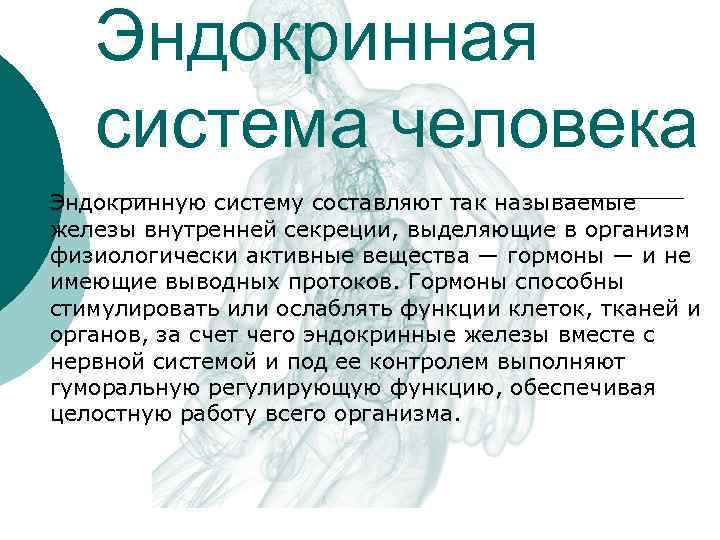   Эндокринная  система человека Эндокринную систему составляют так называемые железы внутренней секреции,