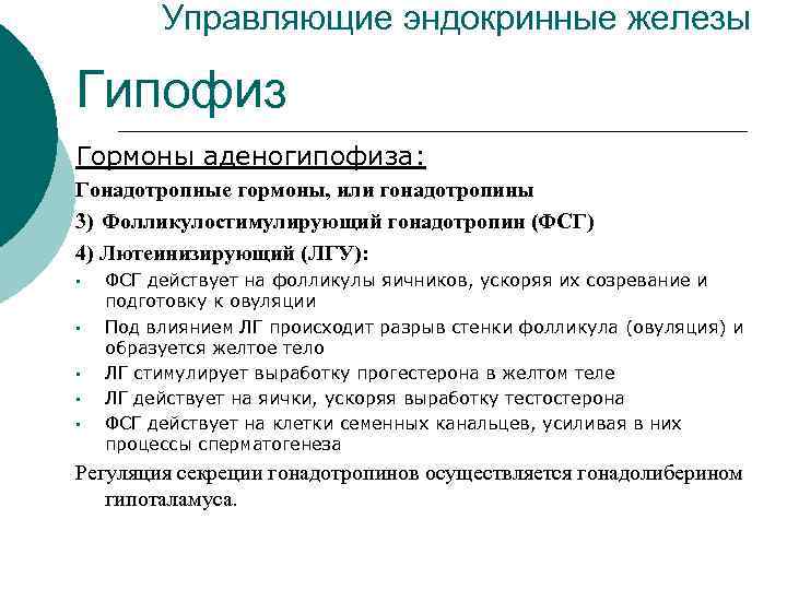    Управляющие эндокринные железы Гипофиз Гормоны аденогипофиза: Гонадотропные гормоны, или гонадотропины 3)