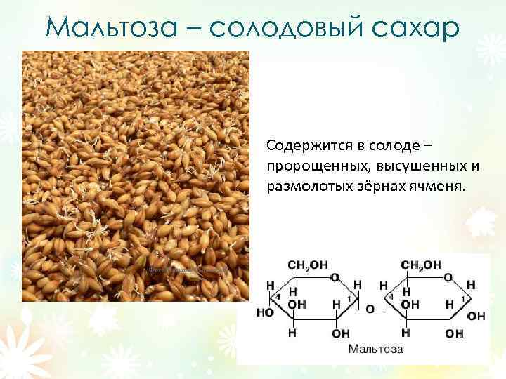 Мальтоза – солодовый сахар   Содержится в солоде –    пророщенных,