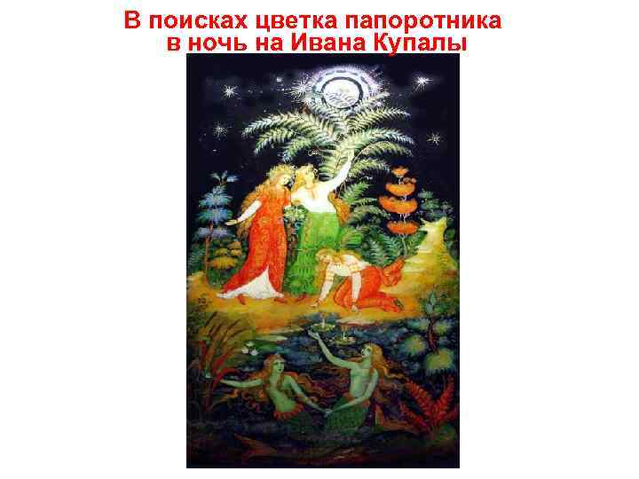 В поисках цветка папоротника  в ночь на Ивана Купалы 