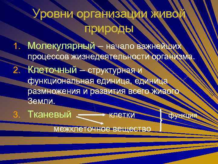   Уровни организации живой   природы 1. Молекулярный – начало важнейших 