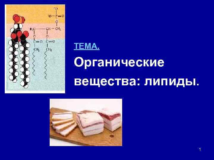 ТЕМА.  Органические вещества: липиды.     1 
