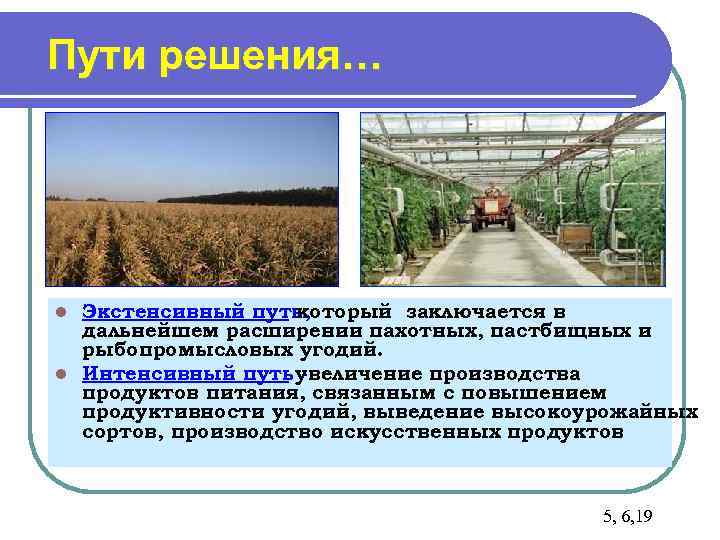 Пути решения… l Экстенсивный путь, который заключается в  дальнейшем расширении пахотных, пастбищных и