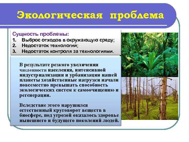  Экологическая проблема Сущность проблемы: 1.  Выброс отходов в окружающую среду; 2. 