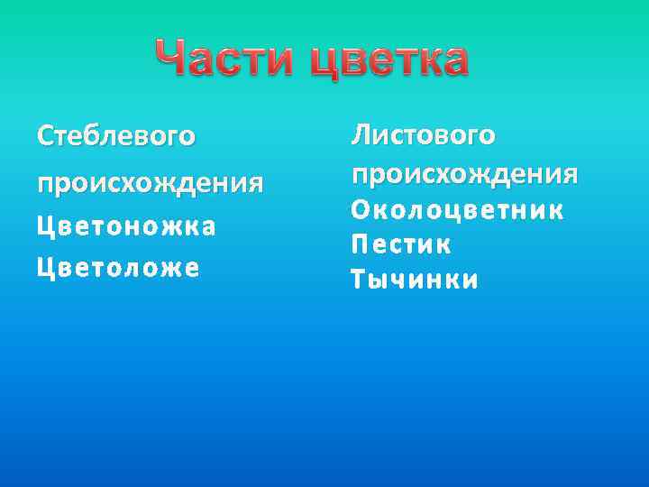 Стеблевого Листового происхождения   Околоцветник Цветоножка   Пестик Цветоложе  Тычинки 