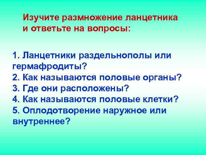 Изучите размножение ланцетника и ответьте на вопросы: 1. Ланцетники раздельнополы или Изучите размножение ланцетника и ответьте на вопросы: 1. Ланцетники раздельнополы или