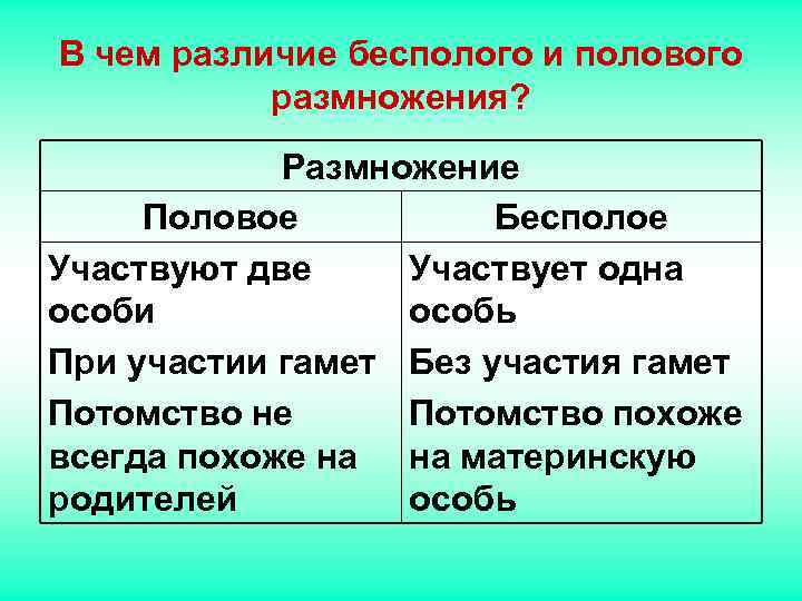 В чем различие бесполого и полового размножения? Размножение Половое Бесполое В чем различие бесполого и полового размножения? Размножение Половое Бесполое