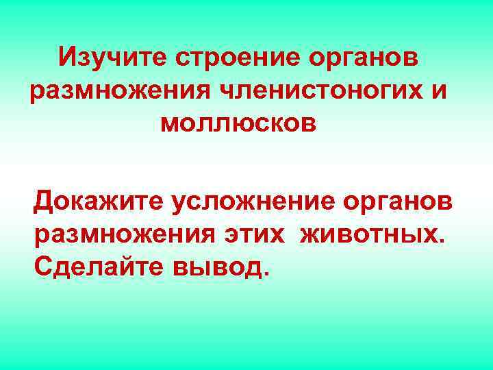 Изучите строение органов размножения членистоногих и моллюсков Докажите усложнение органов размножения Изучите строение органов размножения членистоногих и моллюсков Докажите усложнение органов размножения