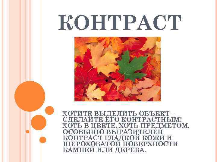 КОНТРАСТ  ХОТИТЕ ВЫДЕЛИТЬ ОБЪЕКТ – СДЕЛАЙТЕ ЕГО КОНТРАСТНЫМ! ХОТЬ В ЦВЕТЕ, ХОТЬ ПРЕДМЕТОМ.