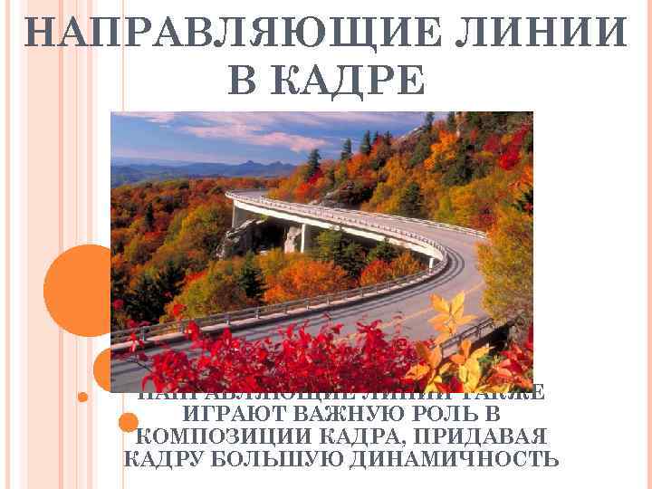 НАПРАВЛЯЮЩИЕ ЛИНИИ  В КАДРЕ  НАПРАВЛЯЮЩИЕ ЛИНИИ ТАКЖЕ  ИГРАЮТ ВАЖНУЮ РОЛЬ В