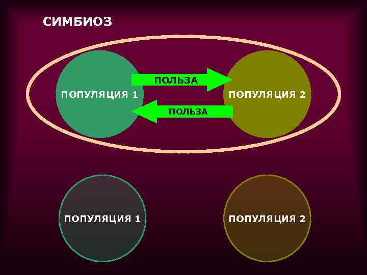 СИМБИОЗ    ПОЛЬЗА ПОПУЛЯЦИЯ 1    ПОПУЛЯЦИЯ 2  