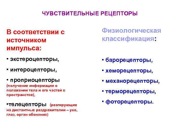    ЧУВСТВИТЕЛЬНЫЕ РЕЦЕПТОРЫ  В соответствии с     Физиологическая