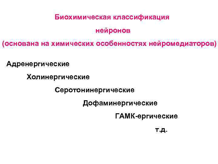   Биохимическая классификация     нейронов (основана на химических особенностях нейромедиаторов)