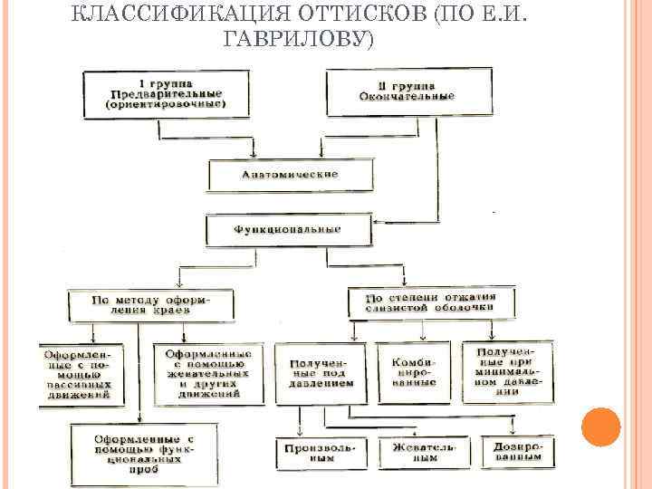 КЛАССИФИКАЦИЯ ОТТИСКОВ (ПО Е. И.  ГАВРИЛОВУ) 