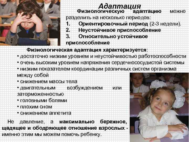        Адаптация      Физиологическую