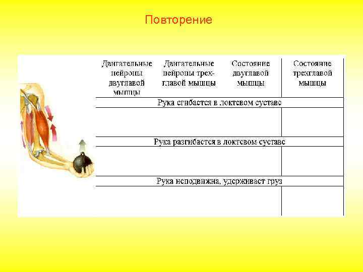 Повторение 