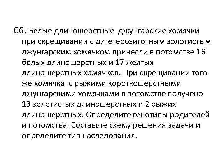 С 6. Белые длиношерстные джунгарские хомячки при скрещивании с дигетерозиготным золотистым джунгарским С 6. Белые длиношерстные джунгарские хомячки при скрещивании с дигетерозиготным золотистым джунгарским