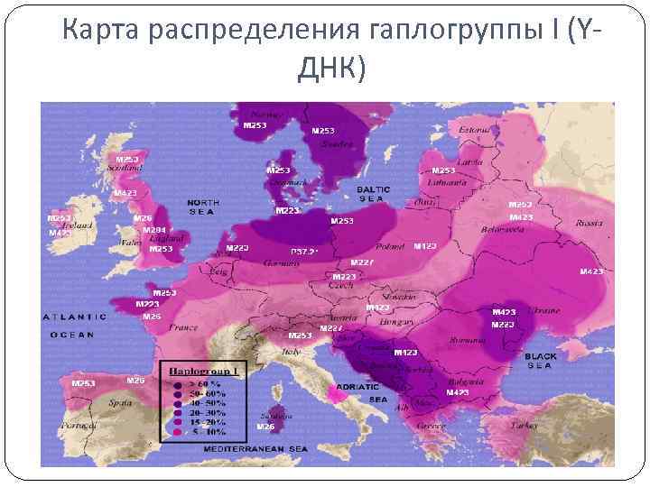 I2 гаплогруппа карта