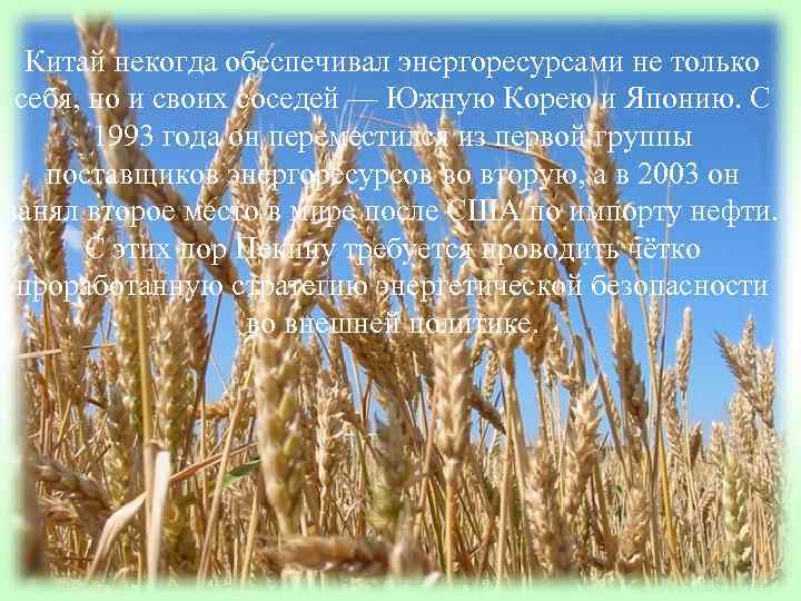 Китай некогда обеспечивал энергоресурсами не только себя, но и своих соседей — Китай некогда обеспечивал энергоресурсами не только себя, но и своих соседей —