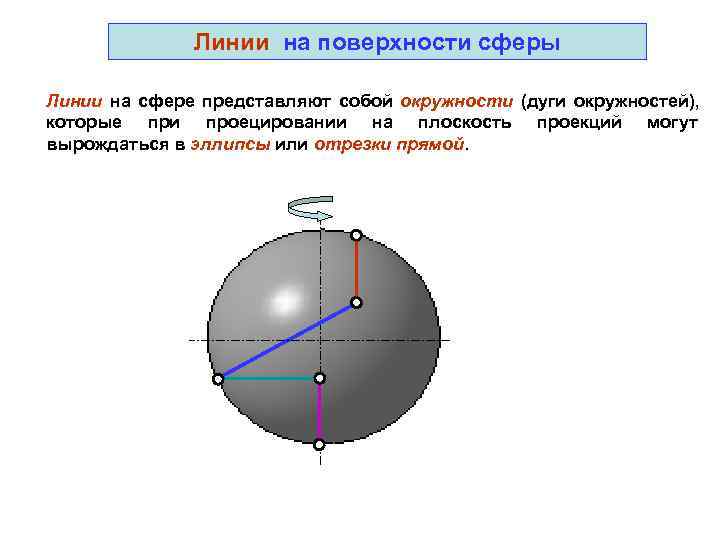 Что представляет собой сфера. Сфера с линиями. Линии на поверхности сферы. Названия линий на поверхности сферы. Линия на поверхности.