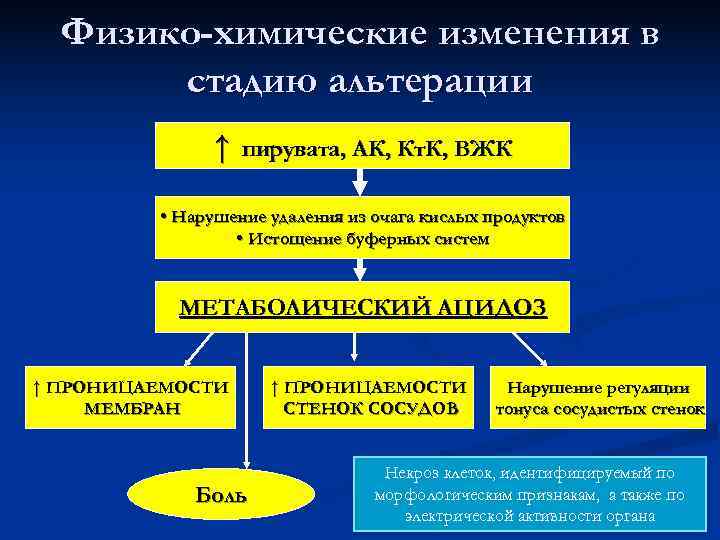  Физико-химические изменения в  стадию альтерации    ↑  пирувата, АК,