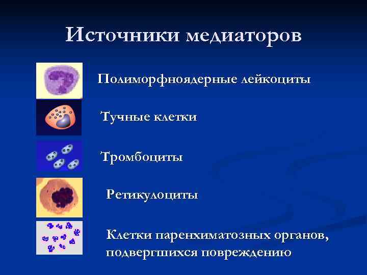Источники медиаторов  Полиморфноядерные лейкоциты  Тучные клетки  Тромбоциты Ретикулоциты Клетки паренхиматозных органов,