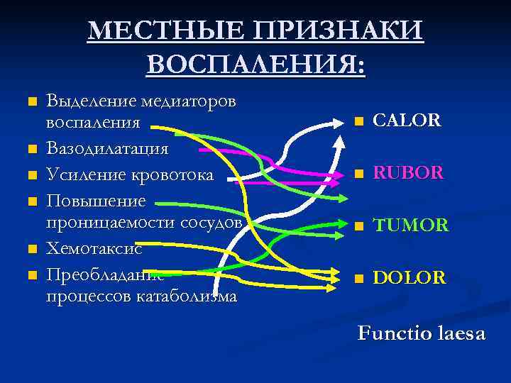   МЕСТНЫЕ ПРИЗНАКИ  ВОСПАЛЕНИЯ: n  Выделение медиаторов воспаления   n