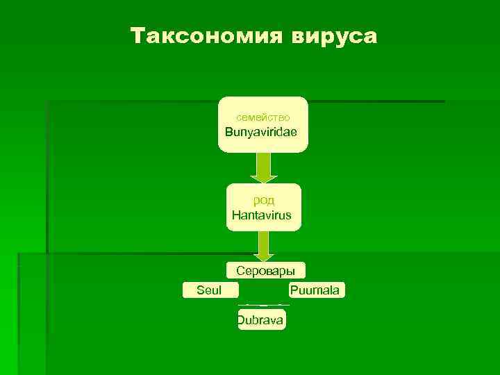 Таксономия вируса семейство Bunyaviridae род Таксономия вируса семейство Bunyaviridae род