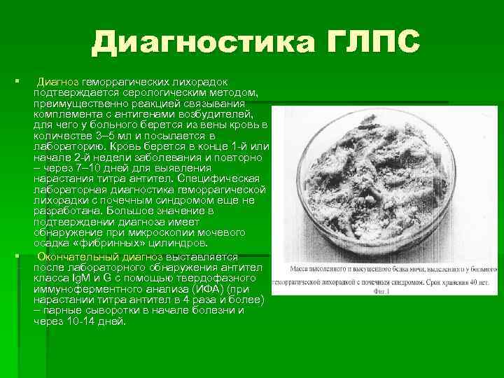 Диагностика ГЛПС § Диагноз геморрагических лихорадок подтверждается серологическим методом, Диагностика ГЛПС § Диагноз геморрагических лихорадок подтверждается серологическим методом,