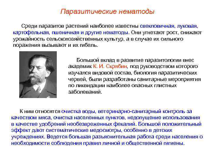    Паразитические нематоды  Среди паразитов растений наиболее известны свекловичная, луковая, картофельная,